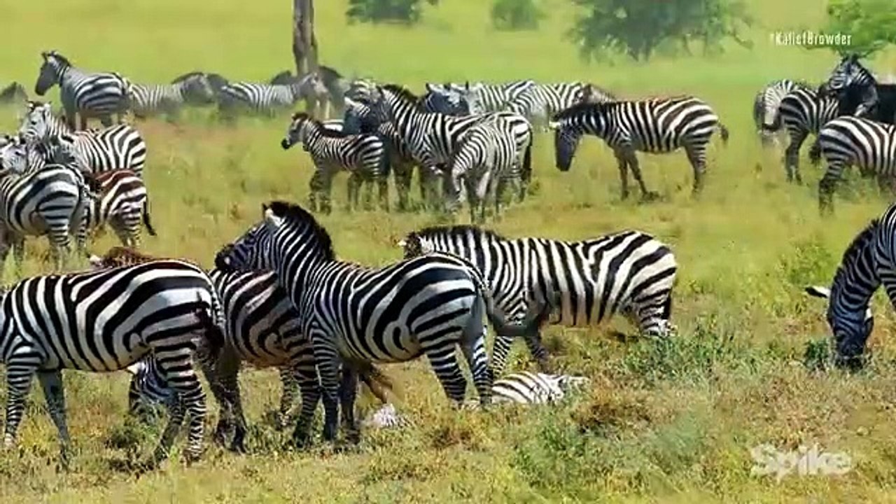 Time - The Kalief Browder Story - Se1 - Ep05 HD Watch