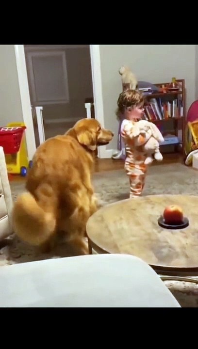 when animal want to dance