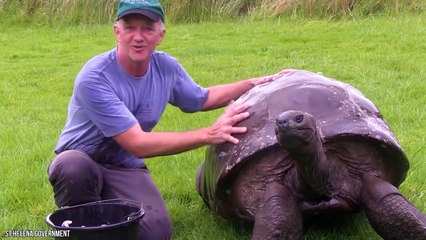 10 Oldest Animal Species On Earth Alive Today