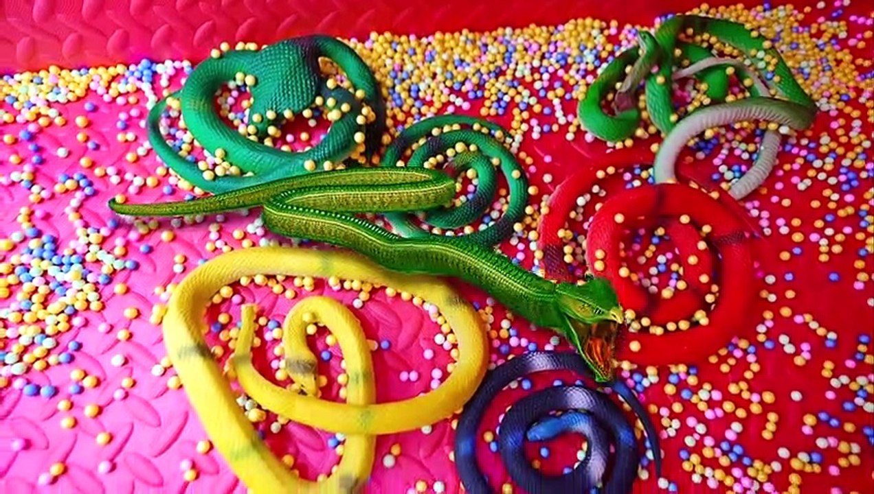 Diana and Roma 100 Mystery Buttons But Only One Lets You Escape