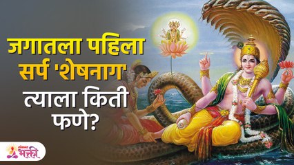 शेषनागाला जगातला पहिला सर्प का म्हणतात?,त्याला किती फणे आहेत | Sheshnag | Lord Vishnu | SH