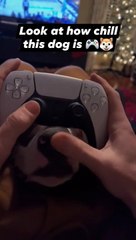 Cette manette de jeu vidéo est dingue... enfin presque