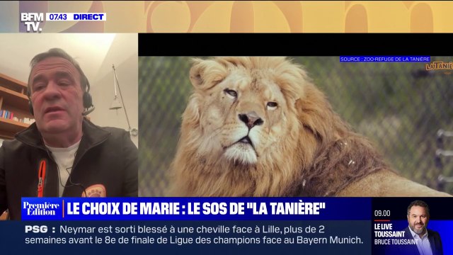 Le choix de Marie - Le SOS d'un zoo-refuge pour sauver leurs 650 animaux