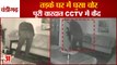 Theft Incident In House At Chandigarh Sector 40|तड़के घर में घुसा चोर, पूरी वारदात CCTV में कैद