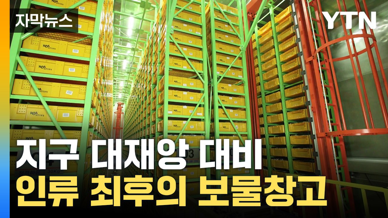 [자막뉴스] 폭격에도 멀쩡...국내에 숨은 현대판 '노아의 방주' / YTN