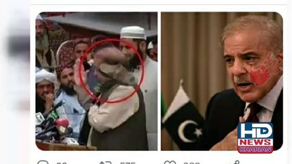 شہبازشریف کو تھپڑ پڑ گئے یہ تھپڑ کس نے اور کیوں مارے  #hdnews