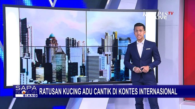 Asosiasi Kucing Indonesia Palembang Gelar Kontes Kucing di Opi Mal Jakabaring