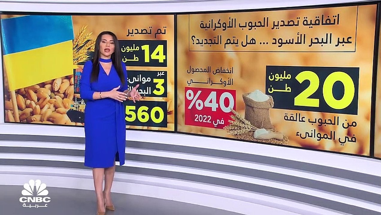 اتفاقية تصدير الحبوب الأوكرانية عبر البحر الأسود.. هل يتم التجديد؟