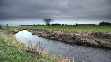 Body found in river near where Nicola Bulley went missing