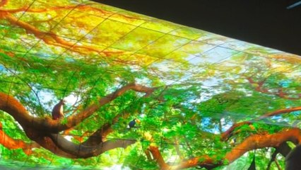 Man is wonderstruck by the ginormous, immersive LG Pavilion at CES 2023