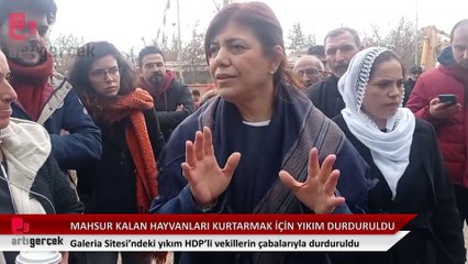 Diyarbakır'da Galeria Sitesi'nde enkaz altında mahsur kalan 14  hayvanı kurtarmak için yıkım durduruldu
