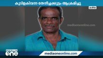 പാലക്കാട് കാട്ടുതേനീച്ചയുടെ ആക്രമണം; ഒരാൾ മരിച്ചു