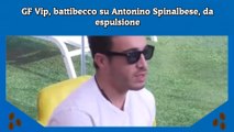 GF Vip, battibecco su Antonino Spinalbese, da espulsione