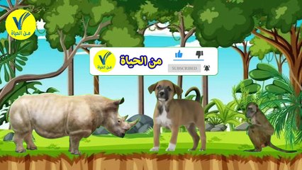 قصص أطفال - قصة الاصدقاء الثلاثة - قراءة الطفلة ريماس