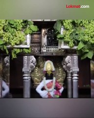 विठ्ठल मंदिराला द्राक्षांची आरास virtical