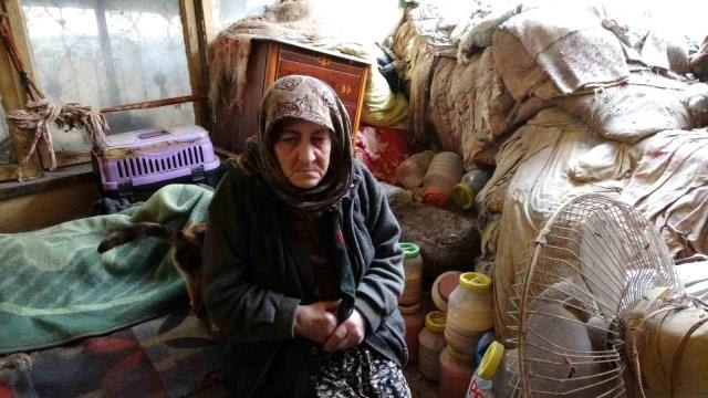 Depremzede Fatma teyze, kapkaça uğradığını gözyaşları içinde anlattı