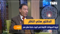 صدمة لمحبي الحيوانات.. الدكتور هاني الناظر: تربية الحيوانات الأليفة في البيت حاجة مش صح لهذه الأسباب
