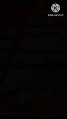 ডিম পরোটা রেসিপি,ঘরে খুব কম সময়ে বানিয়ে ফেলুন