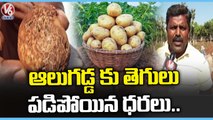 Potato Farmers Loss Crop Due To Pest Infestation ,Price Drop below Production _SangaReddy | _V6News (8)