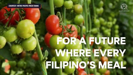 Manny Pangilinan to build Philippines’ largest vegetable greenhouse facility in Bulacan