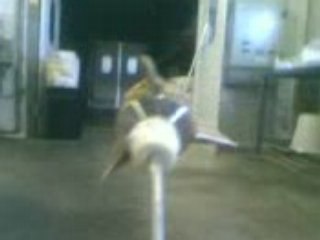 fusée missile artisanale