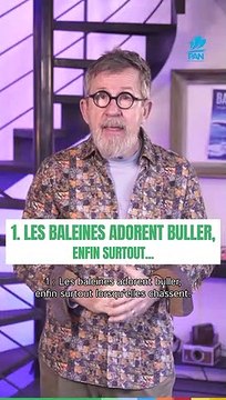 Les Gardiennes de la planète BONUS VF Epicurieux : 3 infos insolites sur les baleines