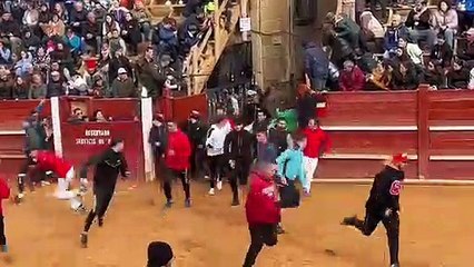Vídeo del encierro de Ciudad Rodrigo