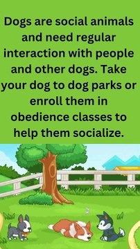 Dogs are social animals and need regular interaction with people and other dogs. Take your dog to dog parks or enroll them in obedience classes to help them socialize. (1)