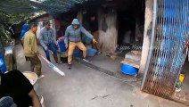 ULAR JADI JADIAN PENUNGGU RUMAH TUA‼️ #viral #cobra