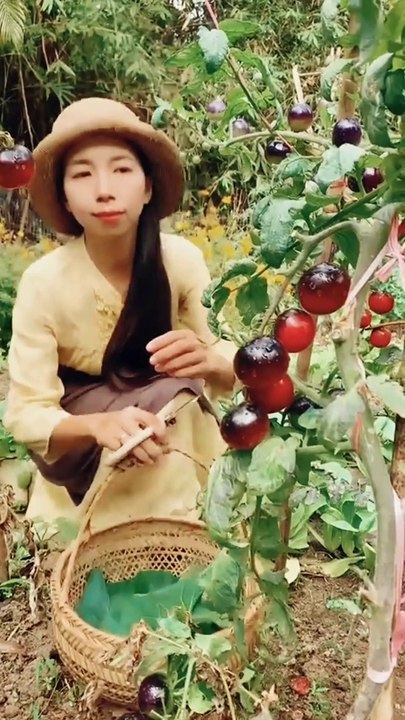 So fresh vegetables and fruits