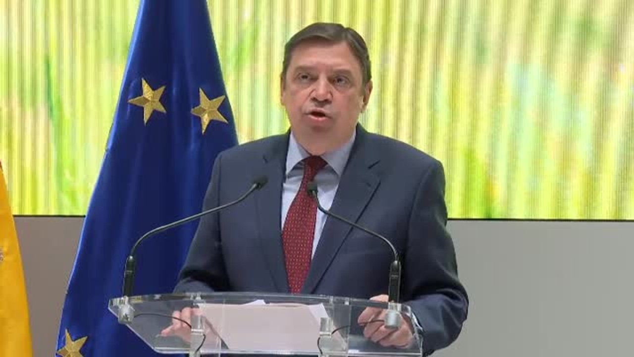 Planas: "Tenemos razones para pensar que los precios del IPC han tocado techo"