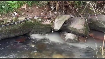 El BNG de Vigo denuncia nuevas vertidos en el río Lagares y pide intensificar los controles