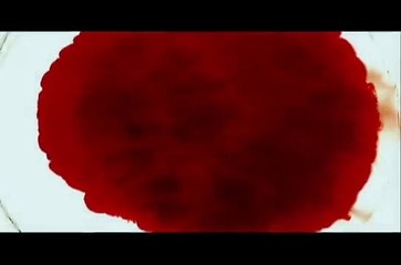 Яростное солнце, яростное небо | movie | 2009 | Official Trailer