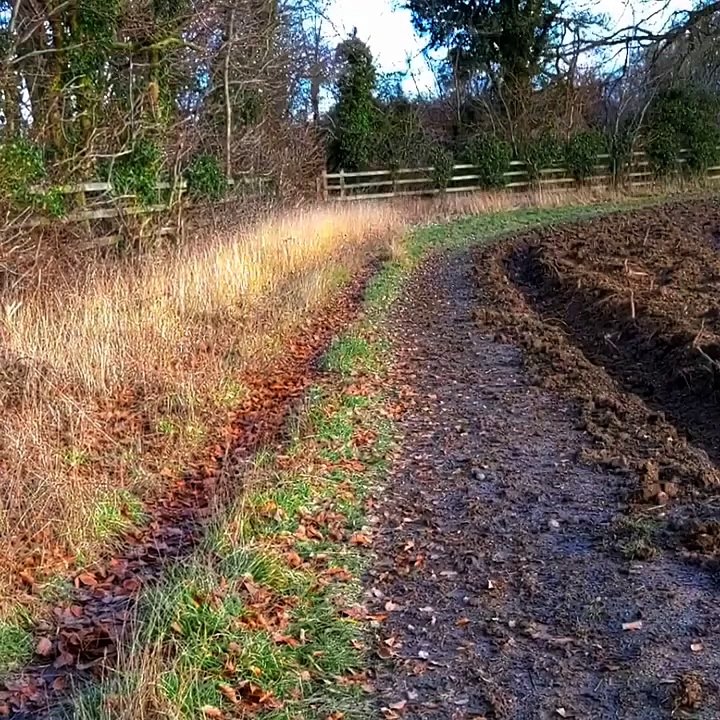 177 Productions Presents... | movie | 2023 | Official Clip