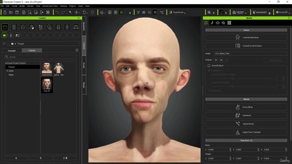 7 - Editing The Body Using Morph Sliders