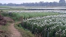 Bengal mai aisa nahi dekha hoga !!! Kheria Valley of flowers