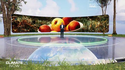The fight for Europe's fruit: How orchards are adapting to warmer winters