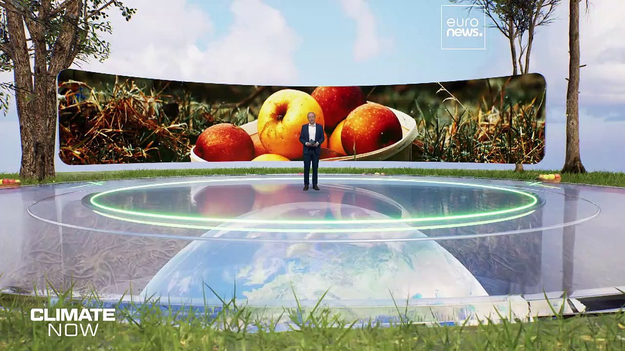 Wärmere Winter sind ein wachsendes Problem für Obstproduzenten