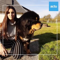 Portrait d'une éleveuse de Dogues du Tibet à Morville-sur-Andelle