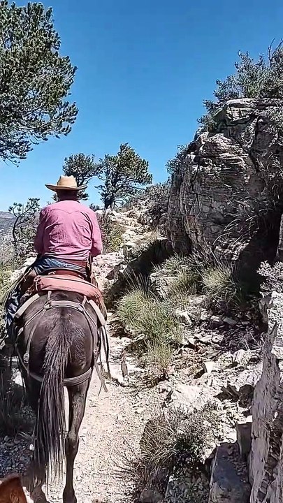Riding Up The Guadalupe Mountains