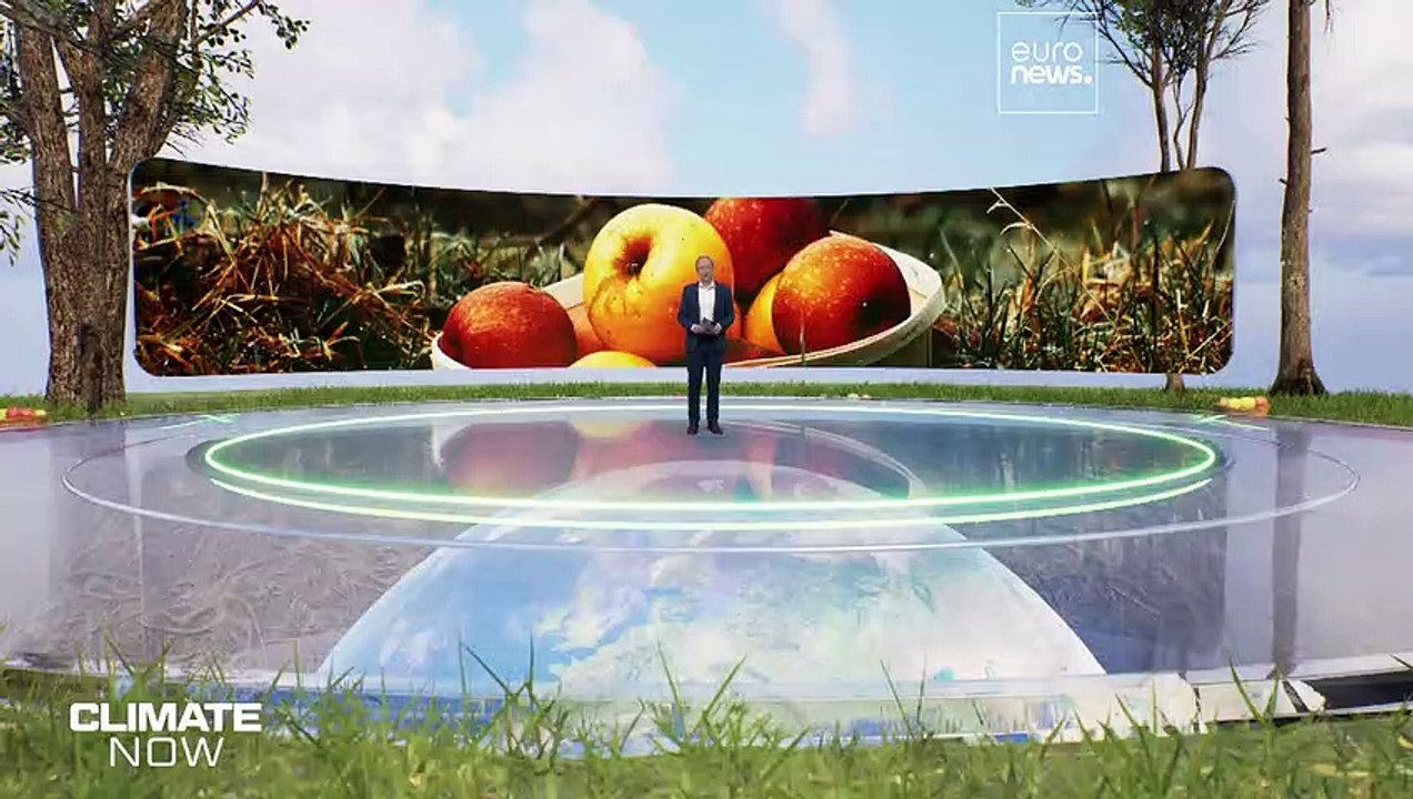 Los inviernos cálidos obligan a los agricultores franceses a cambiar de cultivos