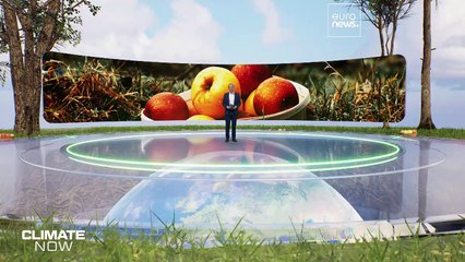 Франция: производители фруктов не рады тёплой зиме