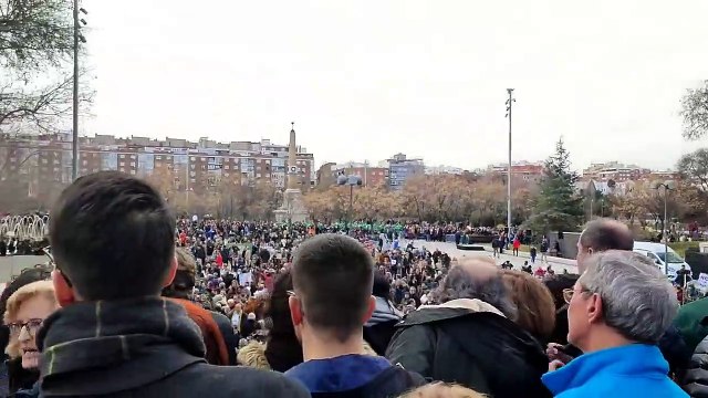 Derrota para Ayuso: detienen la tala de más de 1.000 árboles luego de protestas ambientalistas
