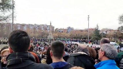 Derrota para Ayuso: detienen la tala de más de 1.000 árboles luego de protestas ambientalistas