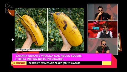 Ricardo Amado 20/02/23