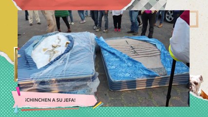 ¡Regalan colchones rellenos de basura!