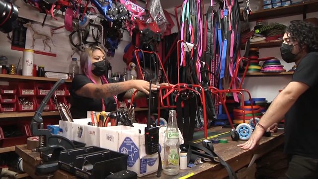 Car-Can, un centro veterinario que da segundas oportunidades a decenas de mascotas en México