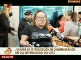 Misión Nevado realizó una jornada de esterilización en celebración del Día Internacional del Gato