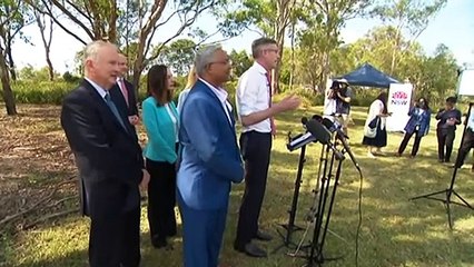 Treasurer Matt Kean refuses to back Transport Minister David Elliott for spot in upper house