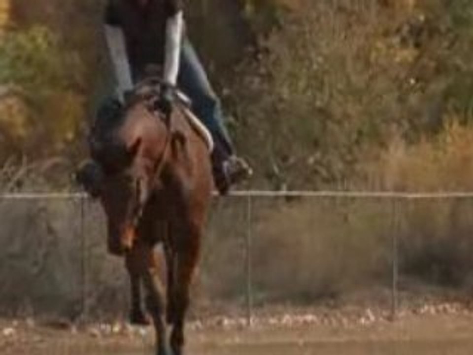 Wildfire 2x13 L'enjeu Suprême (Fin de la saison) - 2/3